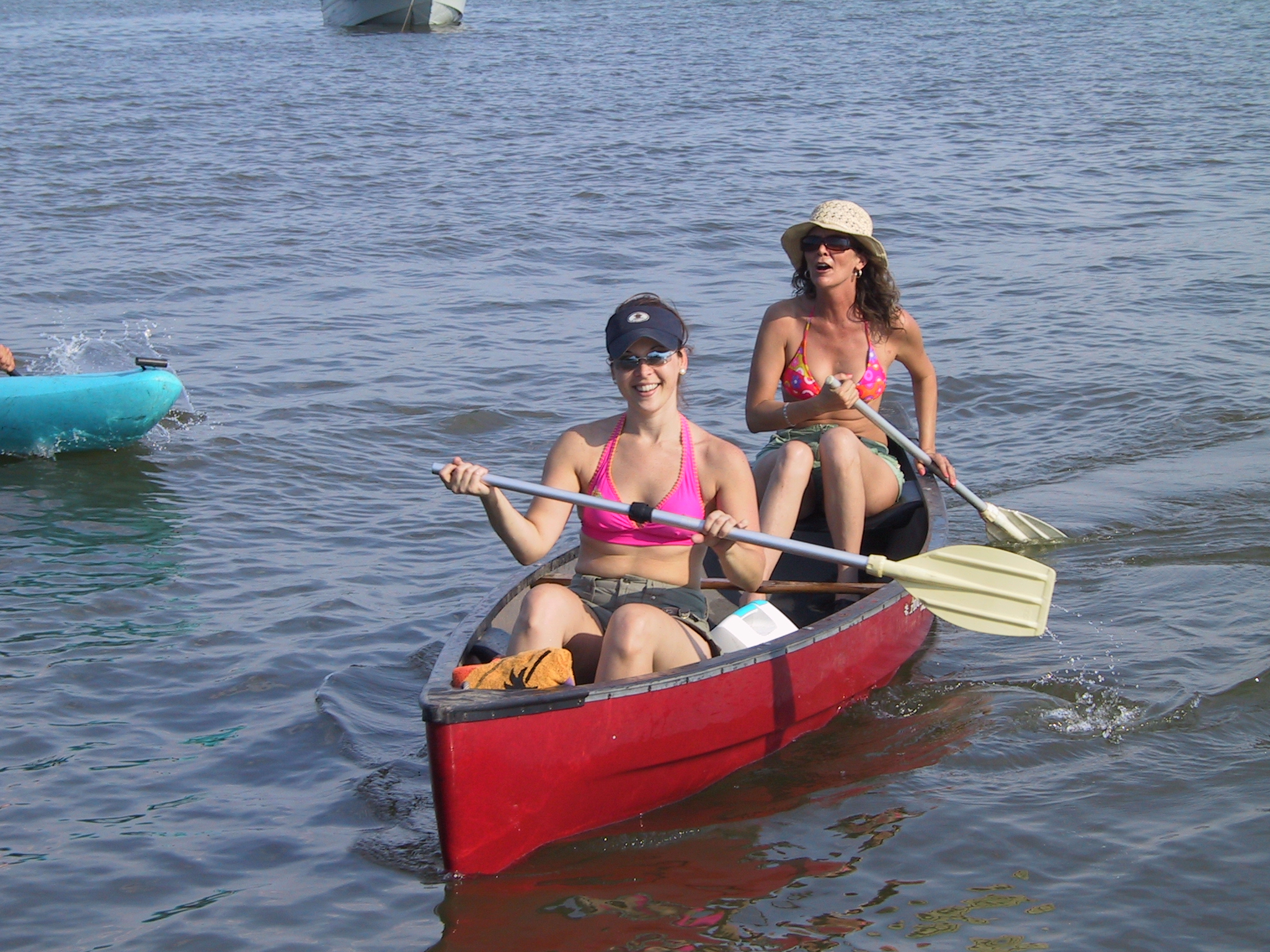 Kayaks and Dogs Don't Mix - Boating With TR! Image Detail